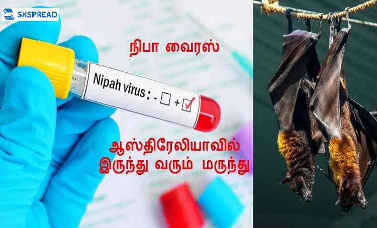 நிபா வைரஸ் பரவல் ஆஸ்திரேலியாவில் இருந்து மருந்து