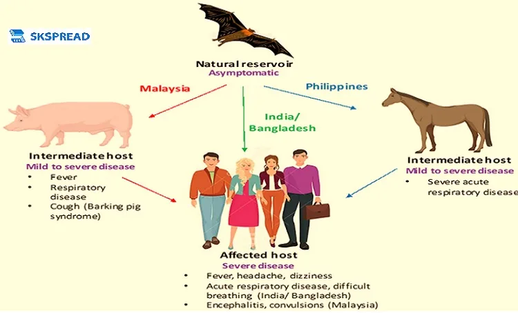 நிபா வைரஸ் பரவல் ஆஸ்திரேலியாவில் இருந்து மருந்து 