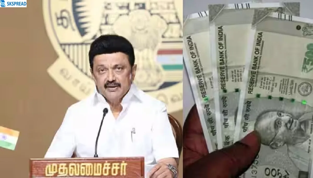 தமிழக மக்களே.., வந்தாச்சு புதிய ரேஷன் கார்டு.., மகளிர் உரிமை தொகைக்கு விண்ணப்பிக்கலாம்?.., சூப்பர் அப்டேட்!!