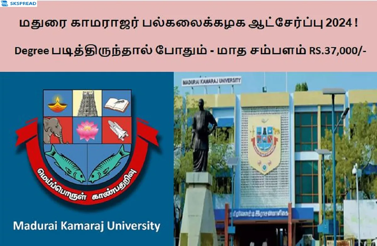 மதுரை காமராஜர் பல்கலைக்கழக ஆட்சேர்ப்பு 2024 ! Degree படித்திருந்தால் போதும் - மாத சம்பளம் RS.37,000/-