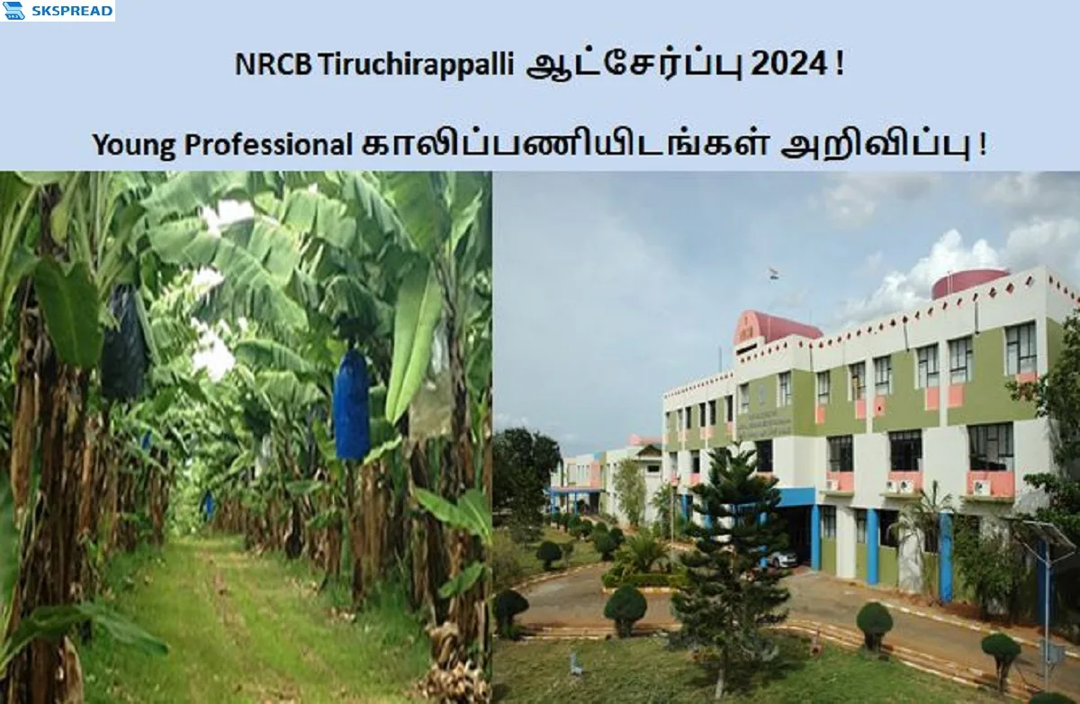 NRCB Tiruchirappalli ஆட்சேர்ப்பு 2024 ! Young Professional காலிப்பணியிடங்கள் அறிவிப்பு - மாத சம்பளம் Rs.30,000/-