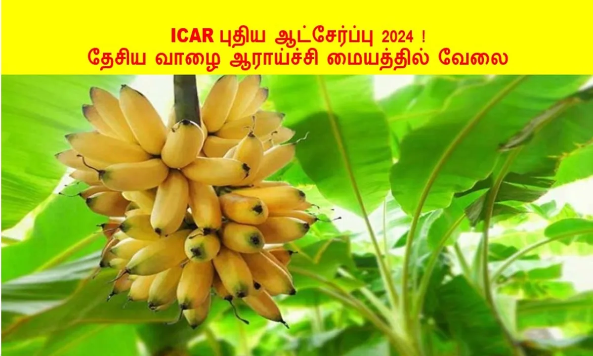 ICAR புதிய ஆட்சேர்ப்பு 2024