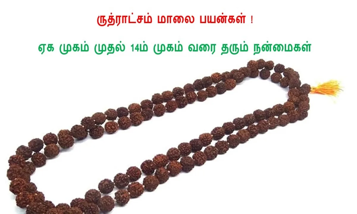 ருத்ராட்சம் மாலை பயன்கள்