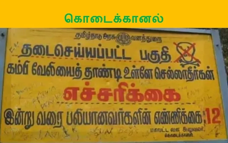 மதிகெட்டான் சோலை 