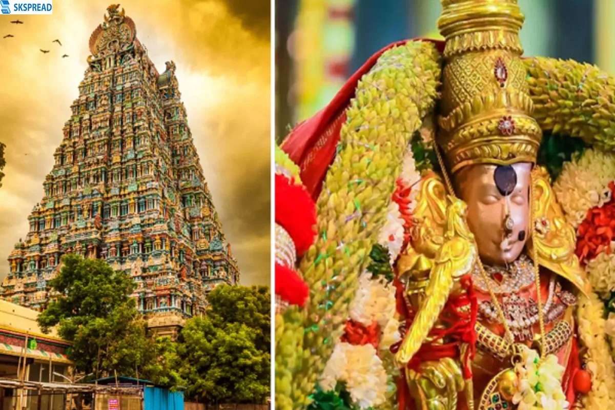 மதுரை மீனாட்சி அம்மன் கோவில் - என்னது கணவனை இழந்தவருக்கு செங்கோல் கொடுக்க கூடாதா? உயர் நீதிமன்றம் காட்டம்!!