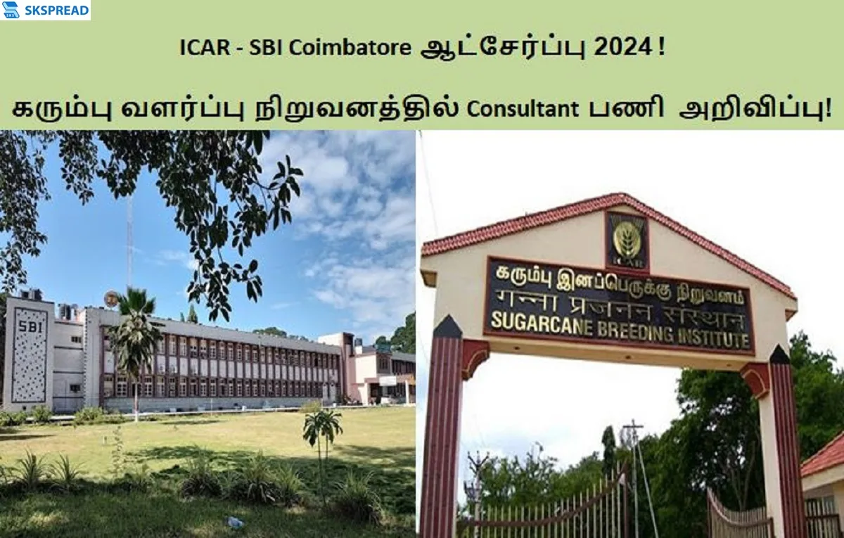 ICAR - SBI Coimbatore ஆட்சேர்ப்பு 2024 ! கோயம்புத்தூரில் கரும்பு வளர்ப்பு நிறுவனத்தில் Consultant பணியிடங்கள் அறிவிப்பு - தேர்வு கிடையாது நேர்காணல் மட்டுமே !