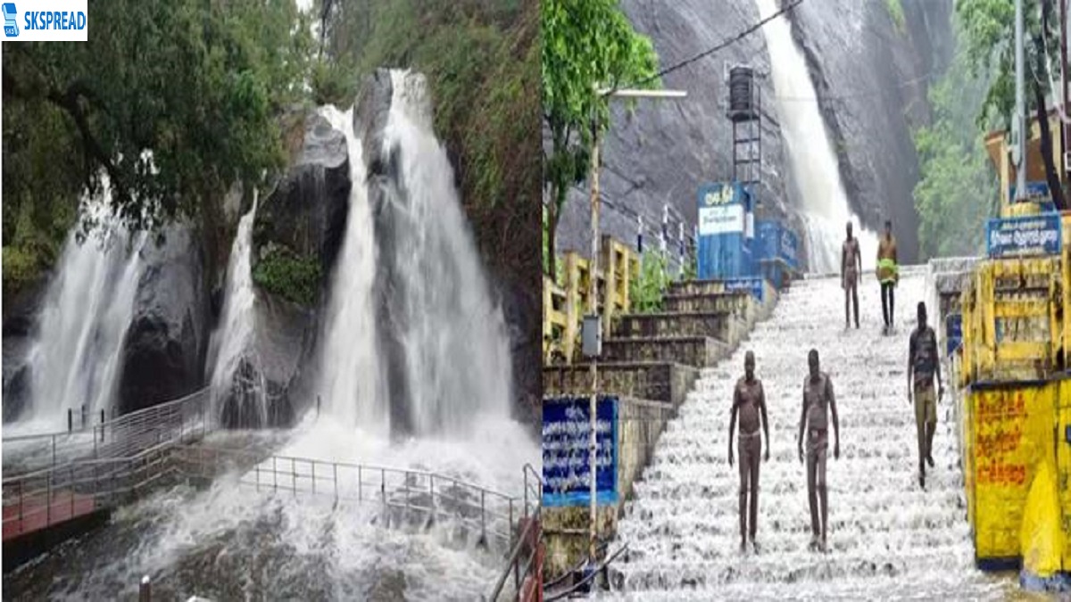 குற்றாலம் அருவி நிர்வாகம் வனத்துறையிடம் ஒப்படைப்பு - மாவட்ட நிர்வாகம் முடிவு !