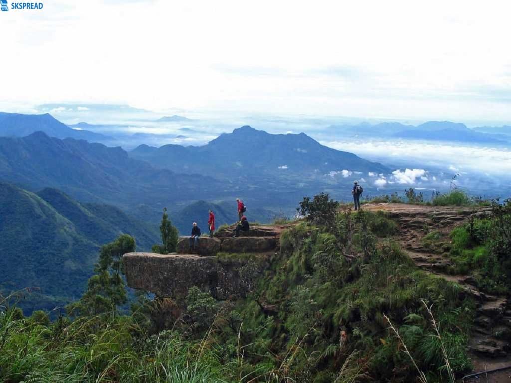 கொடைக்கானல் மோயர் பாயிண்ட் வனப்பகுதியில் சிக்கிய சுற்றுலா பயணிகள் - வனத்துறையினருக்கு காத்திருந்த அதிர்ச்சி!