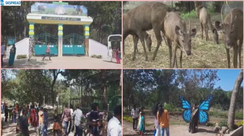 சேலம் குருவம்பட்டி வன உயிரியல் பூங்கா: மான் முட்டியதில் ஊழியர் உயிரிழப்பு - என்ன நடந்தது?