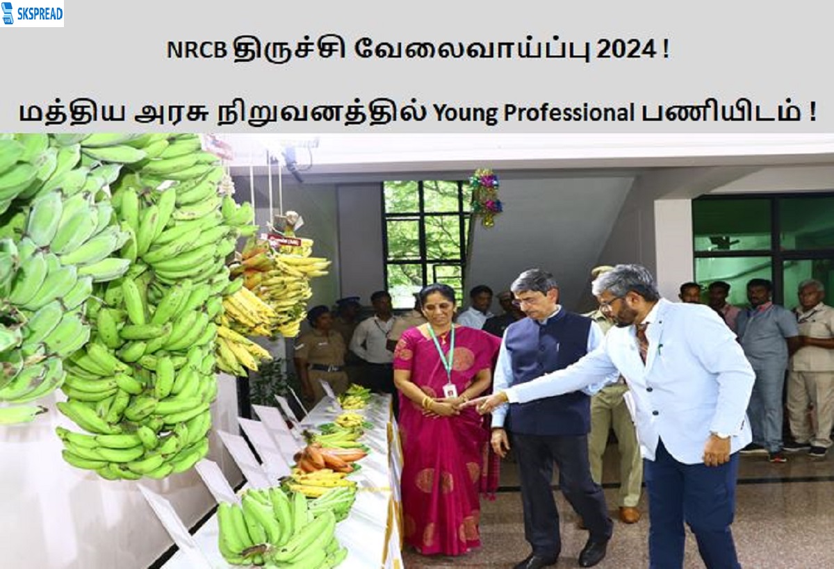 NRCB திருச்சி வேலைவாய்ப்பு 2024 ! மத்திய அரசு நிறுவனத்தில் Young Professional பணியிடம் - தேர்வு கிடையாது நேர்காணல் மட்டுமே !