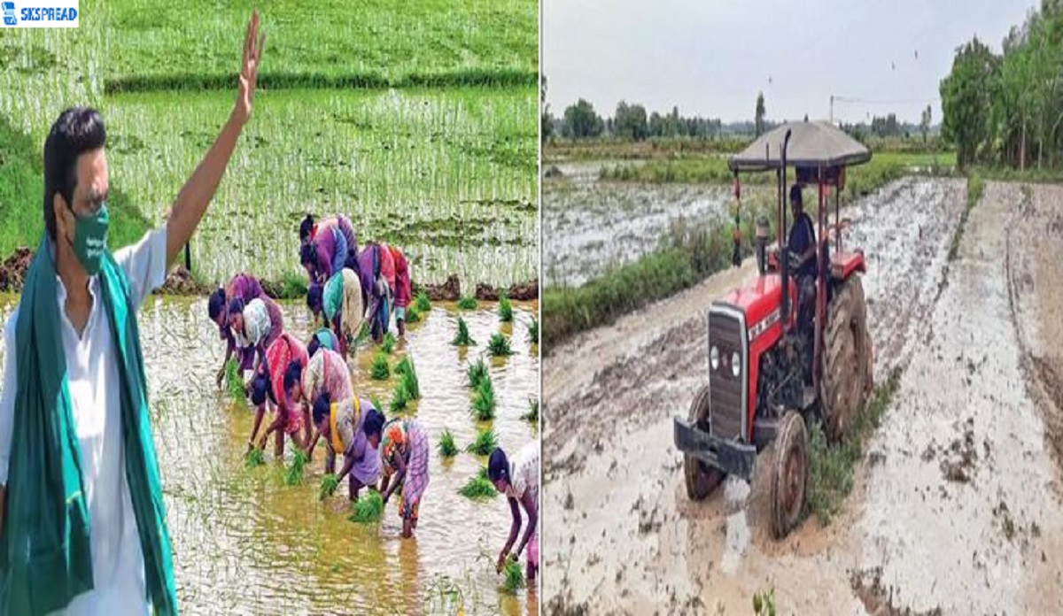 டெல்டா விவசாயிகளுக்கான குறுவை சாகுபடி சிறப்புத் தொகுப்பு திட்டம் - தமிழக அரசு அறிவிப்பு !