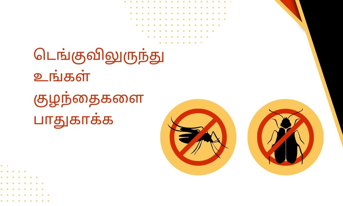 ஜன்னல்களுக்கு சிறந்த கொசு வலை