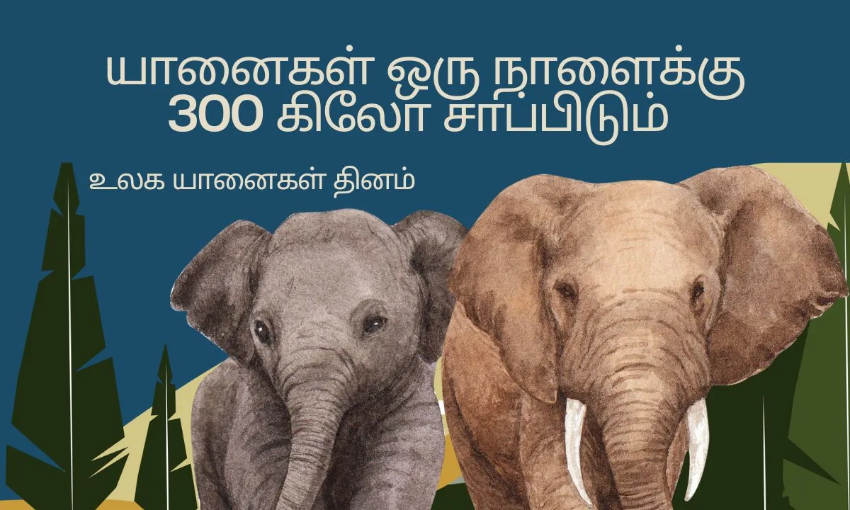 உலக யானைகள் தினம் 2024 ! யானைகள் பற்றிய சில முக்கியமான தகவல்கள் உள்ளே !