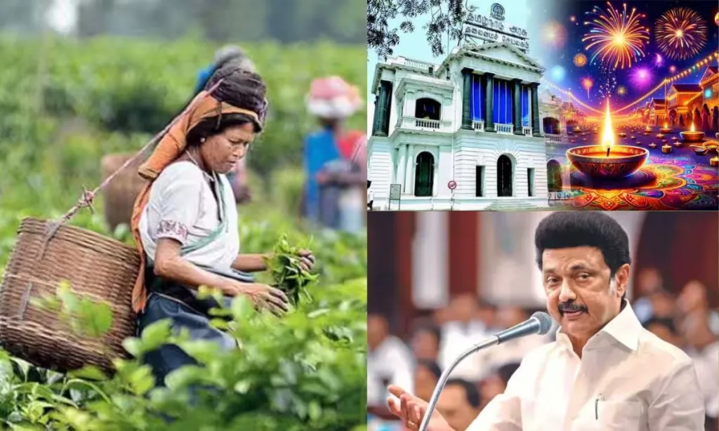 தேயிலை தோட்ட தொழிலாளர்களுக்கு 20% தீபாவளி 2024 போனஸ் - தமிழ்நாடு அரசு அறிவிப்பு !