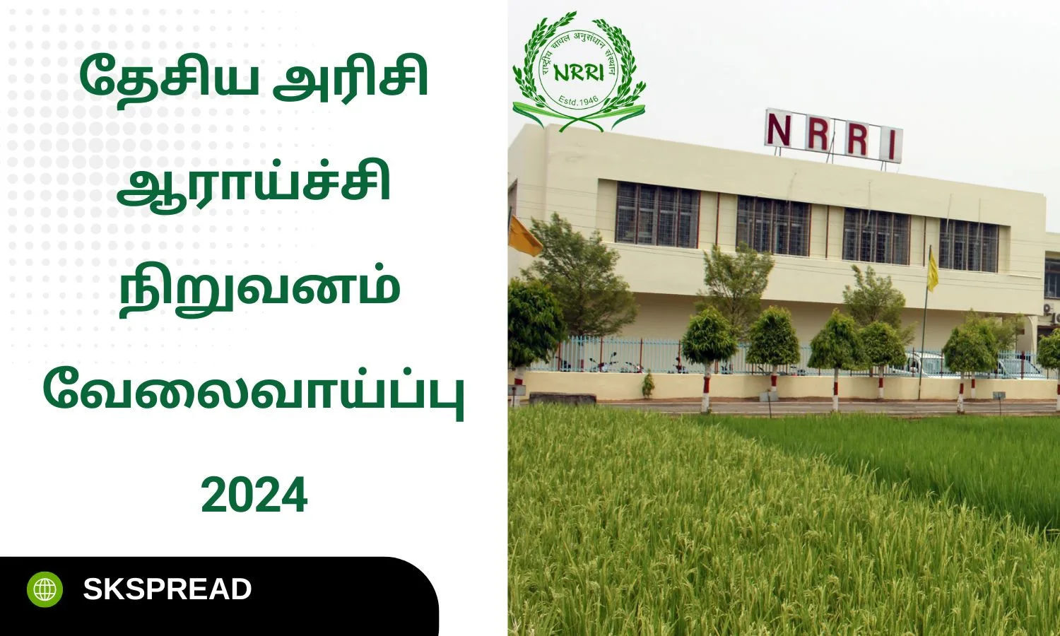 தேசிய அரிசி ஆராய்ச்சி நிறுவனம் வேலைவாய்ப்பு 2024 ! நேர்காணல் மட்டுமே !