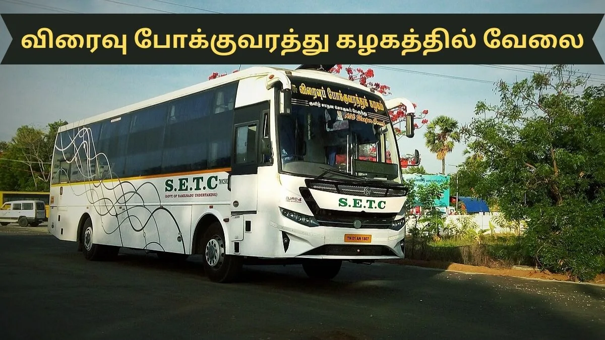 SETC விரைவு போக்குவரத்து கழகத்தில் வேலை 2024! 56 காலியிடங்கள்: நேர்காணல் மட்டுமே!