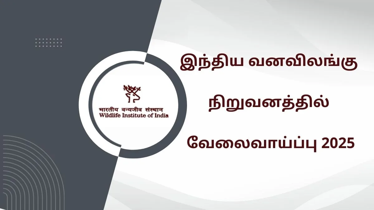 இந்திய வனவிலங்கு நிறுவனத்தில் வேலைவாய்ப்பு 2025! கல்வித்தகுதி, சம்பளம், முழு விவரங்களுடன்