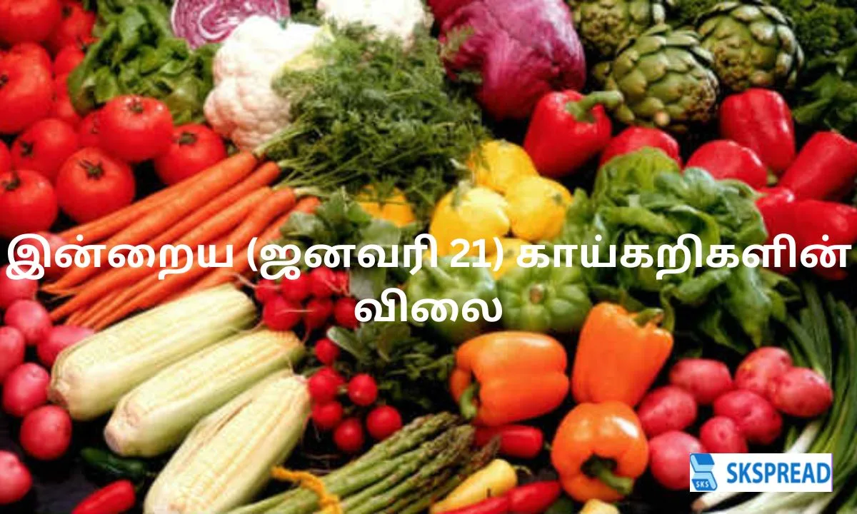 இன்றைய (ஜனவரி 21) காய்கறிகளின் விலை.., முழு பட்டியல் இதோ!!