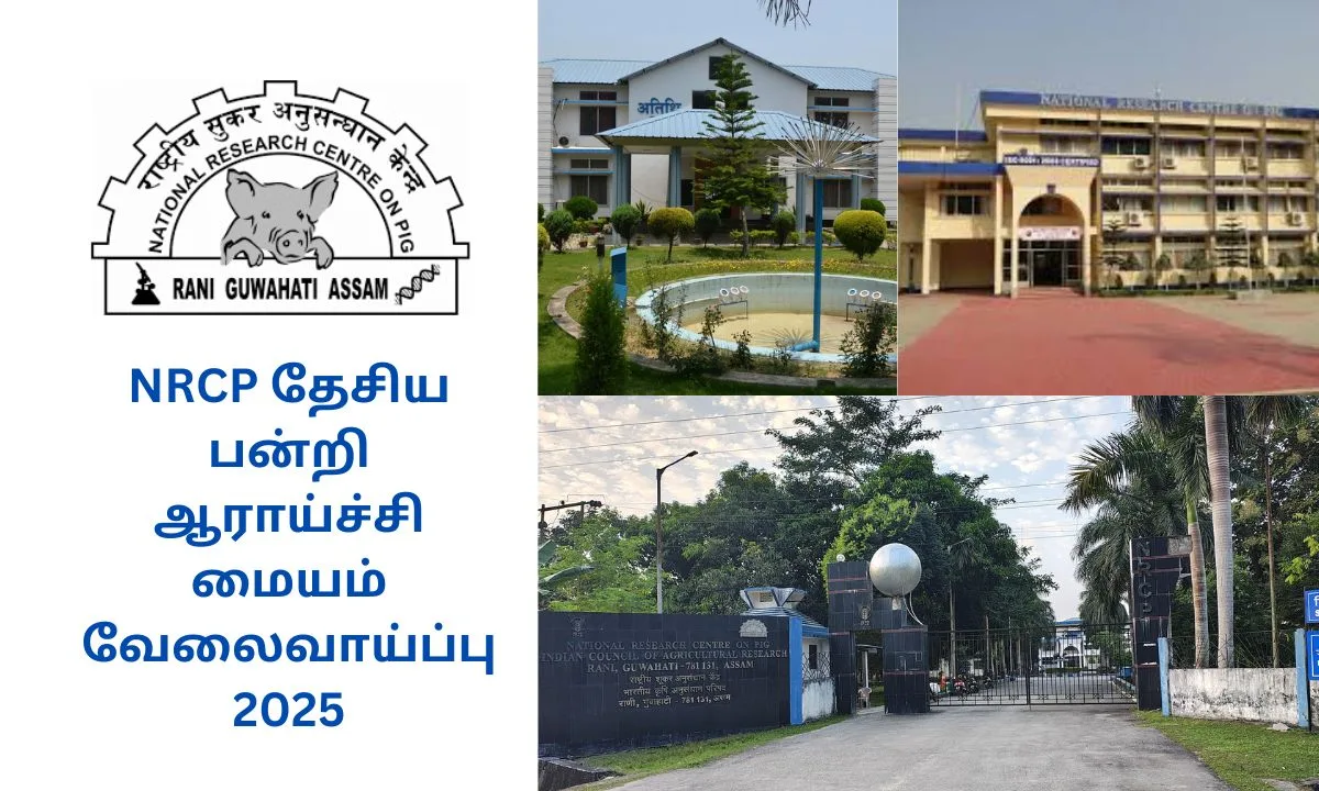 NRCP தேசிய பன்றி ஆராய்ச்சி மையம் வேலைவாய்ப்பு 2025! இன்றே விண்ணப்பிக்கலாம்! சம்பளம்: Rs.42,000/-