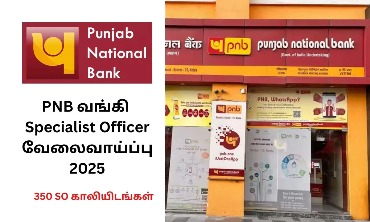 PNB வங்கி SO வேலைவாய்ப்பு 2025! 350 Specialist Officer காலியிடங்கள் அறிவிப்பு!